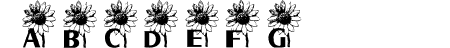 AEZ sunflower letters