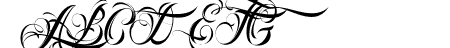 Nino Script PERSONAL USE 