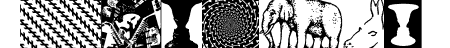 Eye Am Confused Optical I