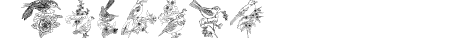 StateBirds