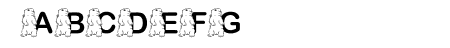 FL Punxsutawney Phil