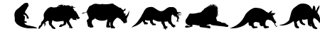 Afrika Wildlife B Mammals