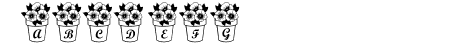 LCR Pansy Peepers