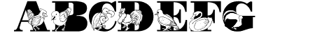 LMS Bird Watching