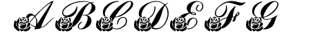 LMS Corinne\\\'s Roses