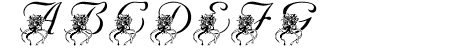 LMS Katy\\\'s Bouquet
