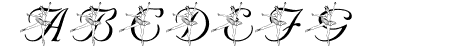 LMS Nutcracker Ballet