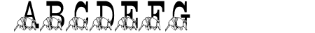 LMS Stef\\\'s Texas Frien
