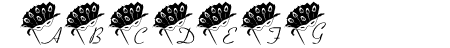 101! Mardi Mask
