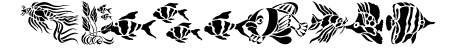 Fun Fish