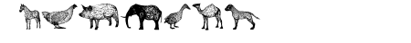 3D Animals Regular