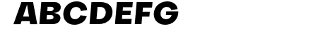 SubjectivitySerif-ExtraBo