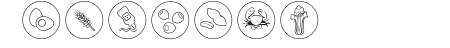 Allergen Outline