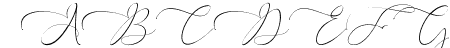 Everything Calligraphy