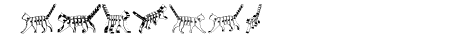 Cat 3D Regular