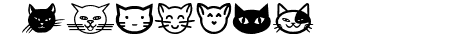 Cat Faces