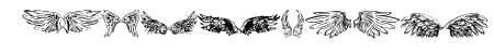 wings of wind tfb