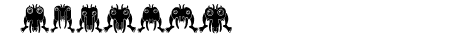 Insect Regular