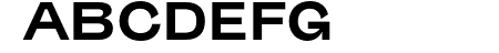 Sporting Grotesque Gras