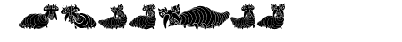 Wurm Regular