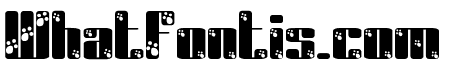 crazy panda Bold