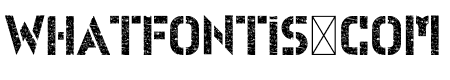 Fight Bold