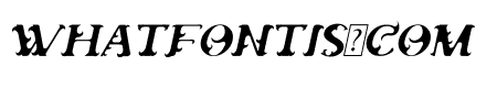 ONPUSA Italic Italic