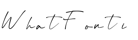 Virgi Theory