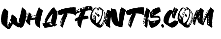 FanyBrush