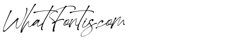 Black Phantom Italic
