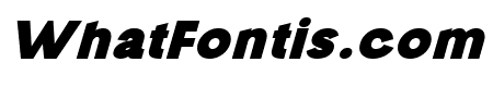 travel elegant Bold Italic