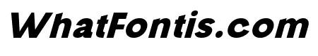 travel elegant Regular Italic