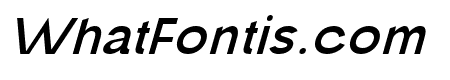 travel elegant UltraLight Italic