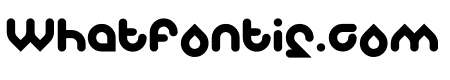 Znow White Bold