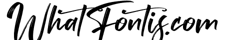 Tedy Brush Italic