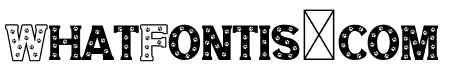 NN Dog