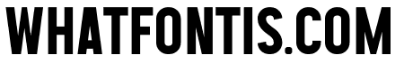 Tactico Bold