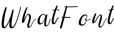 Shitti Beauty Italic
