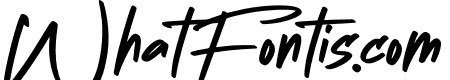 Bigboss Signature
