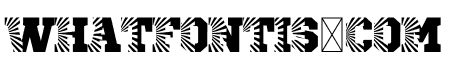 S Fashion