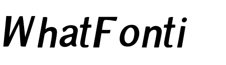 Zoya Regular Italic
