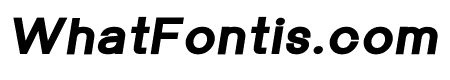 Univa Nova Heavy Italic