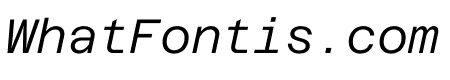 Azeret Mono 300italic