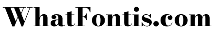 Bodoni Moda 800
