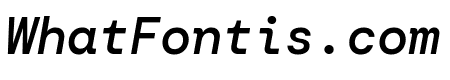 DM Mono 500italic