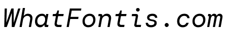 DM Mono Italic