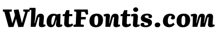Literata 800italic