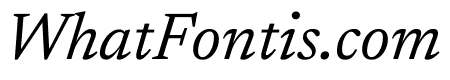 Newsreader Italic