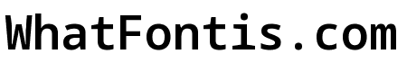 Noto Sans Mono 600