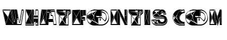 Mistic Orange Regular
